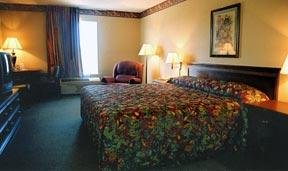 Hotel Comfort Inn & Suites