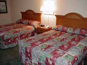 Hotel Comfort Inn & Suites