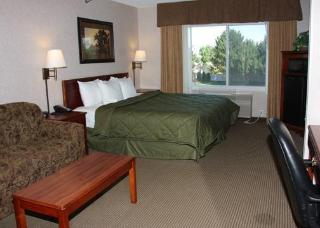 Hotel Comfort Inn & Suites