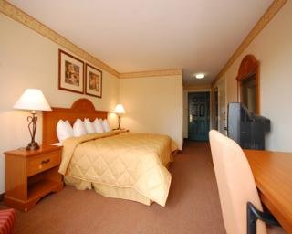 Hotel Comfort  Inn & Suites