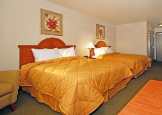 Hotel Comfort Inn & Suites