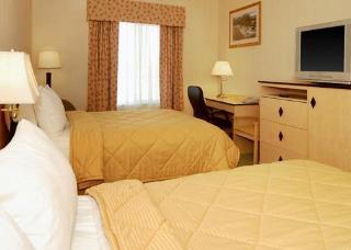Hotel Comfort Inn & Suites Airport