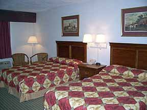 Hotel Comfort Inn & Suites Airport North
