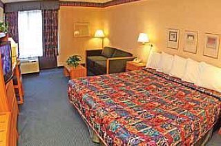 Hotel Comfort Inn & Suites-anaheim