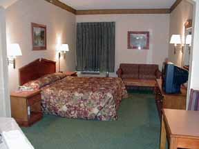 Hotel Comfort Inn & Suites At Stone Mountain