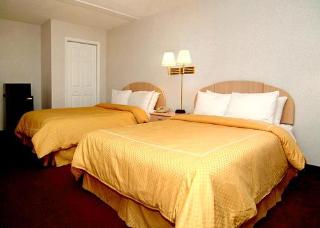 Hotel Comfort Inn & Suites At Tropicana Field