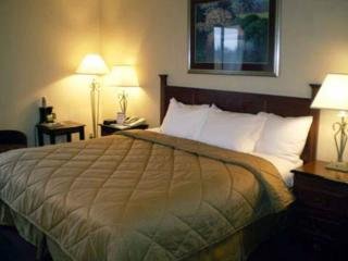 Hotel Comfort Inn & Suites College Park