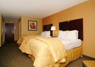 Hotel Comfort Inn & Suites Downtown