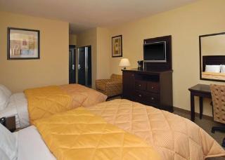 Hotel Comfort Inn & Suites Downtown