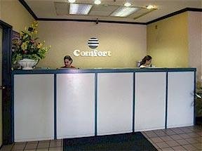 Hotel Comfort Inn & Suites Lax Airport