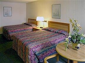 Hotel Comfort Inn & Suites Lax Airport