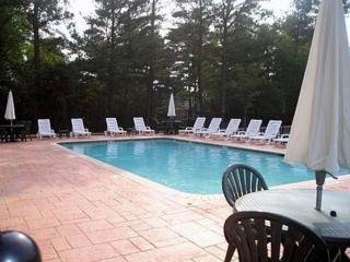 Hotel Comfort Inn & Suites Near Lake Lanier