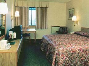 Hotel Comfort Inn & Suites North At The Pyramids