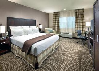 Hotel Comfort Inn & Suites Zoo Seaworld Area