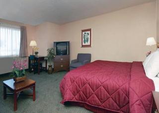 Hotel Comfort Inn West