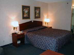 Hotel Comfort Inn Westport