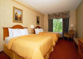 Hotel Comfort Suites