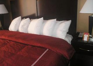 Hotel Comfort Suites