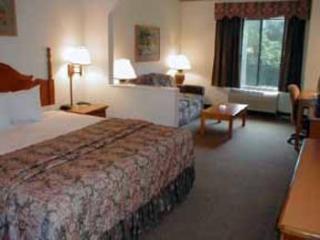 Hotel Comfort Suites
