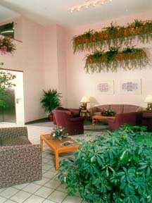 Hotel Comfort Suites