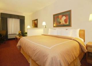Hotel Comfort Suites