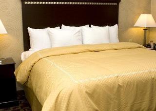 Hotel Comfort Suites