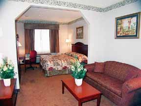Hotel Comfort Suites-acworth