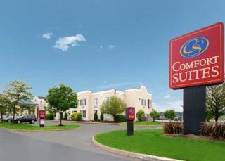 Hotel Comfort Suites Airport