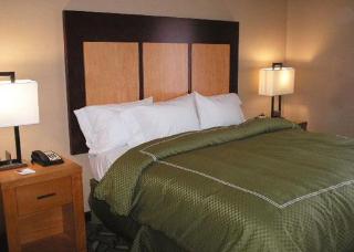 Hotel Comfort Suites Airport