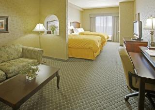 Hotel Comfort Suites Alamo-riverwalk