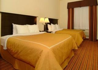 Hotel Comfort Suites Alexandria Airport