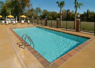 Hotel Comfort Suites Alexandria Airport