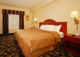 Hotel Comfort Suites At Harbison