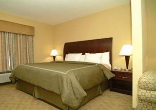 Hotel Comfort Suites-beaumont