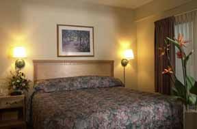 Hotel Comfort Suites Downtown