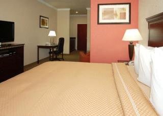 Hotel Comfort Suites-houston-intercontinental Airport