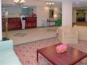 Hotel Comfort Suites Jacksonville Airport
