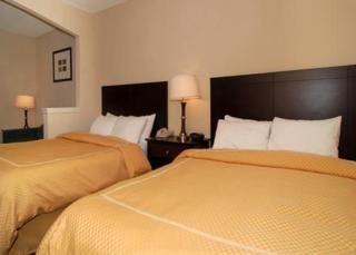Hotel Comfort Suites Las Colinas Center