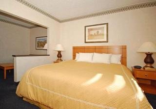 Hotel Comfort Suites Las Cruces