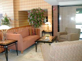 Hotel Comfort Suites-leesburg