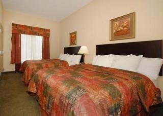 Hotel Comfort Suites Medical District