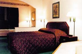 Hotel Comfort Suites Near Stone Briar Mall
