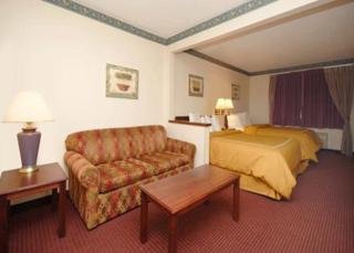 Hotel Comfort Suites North-galleria