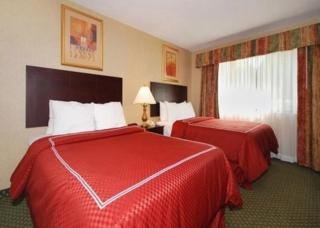 Hotel Comfort Suites Oakbrook