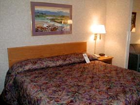Hotel Comfort Suites Otay Mesa