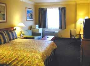 Hotel Comfort Suites San Jose Airport