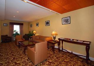 Hotel Comfort Suites Savannah Airport