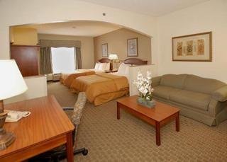 Hotel Comfort Suites-southaven