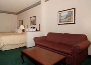 Hotel Comfort Suites University