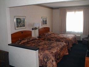 Hotel Comfort Suites University El Paso